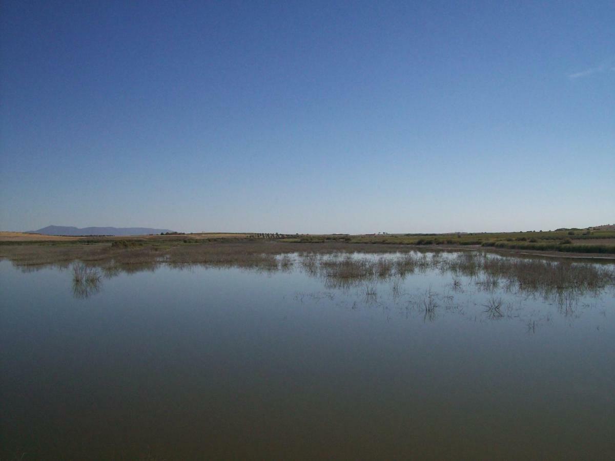 El Labriego, Casa Rural Fuente el Fresno Zewnętrze zdjęcie